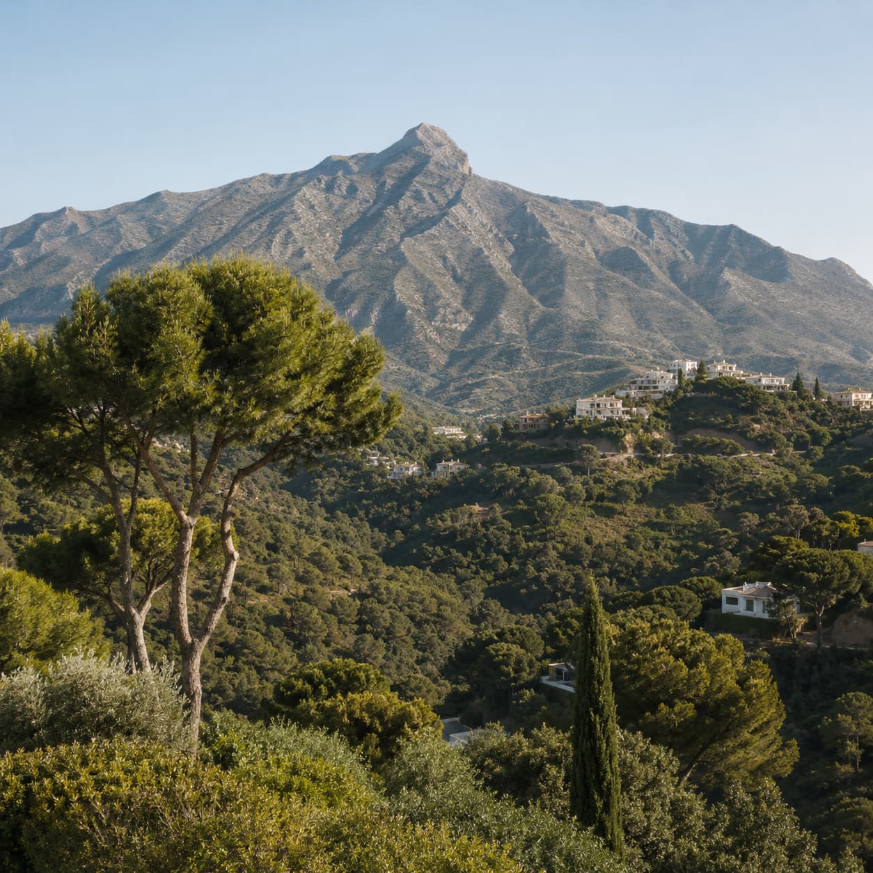 Benahavis Costa del Sol property landscape